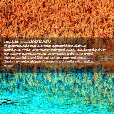 Picture 02 - யாத்திராகமம் 30:12 TAMIRV - “நீ இஸ்ரவேலர்களை - Bible Verse Picture