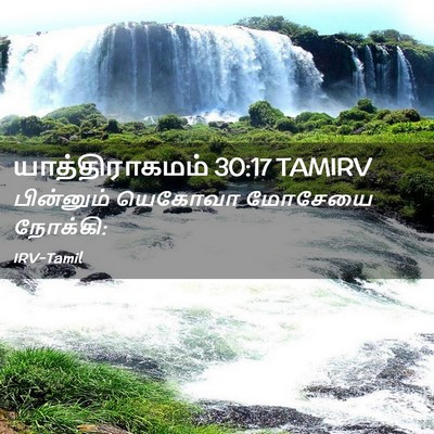Picture 02 - யாத்திராகமம் 30:17 TAMIRV - பின்னும் யெகோவா - Bible Verse Picture