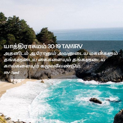 Picture 02 - யாத்திராகமம் 30:19 TAMIRV - அதனிடம் ஆரோனும் - Bible Verse Picture