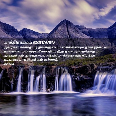 Picture 02 - யாத்திராகமம் 30:21 TAMIRV - அவர்கள் சாகாதபடி - Bible Verse Picture