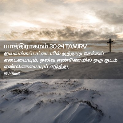 Picture 02 - யாத்திராகமம் 30:24 TAMIRV -  - Bible Verse Picture