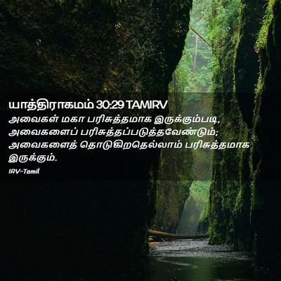 Picture 02 - யாத்திராகமம் 30:29 TAMIRV - அவைகள் மகா - Bible Verse Picture