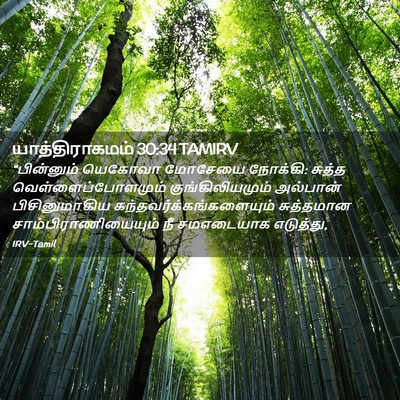 Picture 02 - யாத்திராகமம் 30:34 TAMIRV - “பின்னும் யெகோவா - Bible Verse Picture
