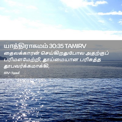 Picture 02 - யாத்திராகமம் 30:35 TAMIRV - தைலக்காரன் - Bible Verse Picture