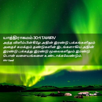 Picture 02 - யாத்திராகமம் 30:4 TAMIRV - அந்த - Bible Verse Picture