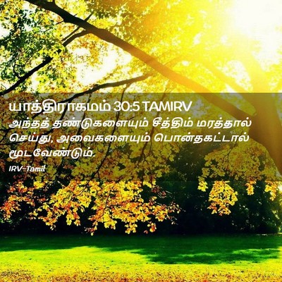Picture 02 - யாத்திராகமம் 30:5 TAMIRV - அந்தத் - Bible Verse Picture
