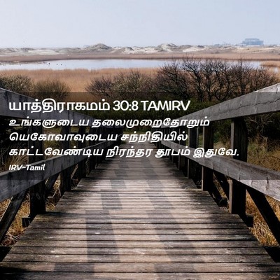 Picture 02 - யாத்திராகமம் 30:8 TAMIRV - உங்களுடைய - Bible Verse Picture