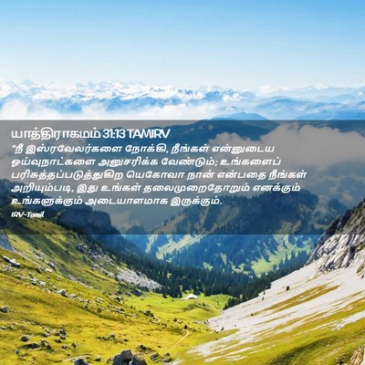 Picture 02 - யாத்திராகமம் 31:13 TAMIRV - “நீ இஸ்ரவேலர்களை - Bible Verse Picture
