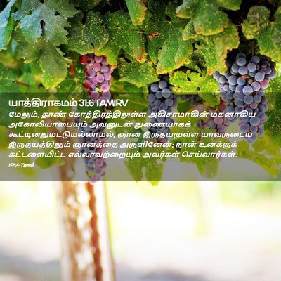 Picture 02 - யாத்திராகமம் 31:6 TAMIRV - மேலும், தாண் - Bible Verse Picture