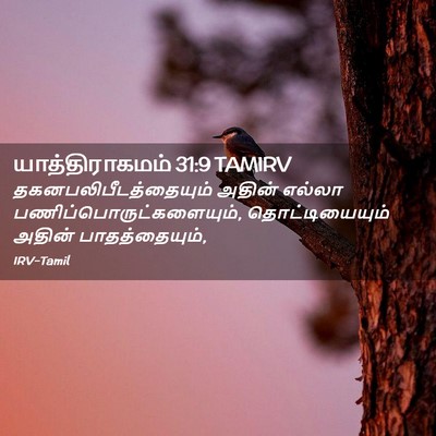 Picture 02 - யாத்திராகமம் 31:9 TAMIRV -  - Bible Verse Picture