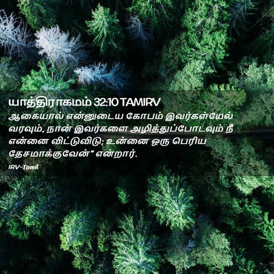 Picture 02 - யாத்திராகமம் 32:10 TAMIRV - ஆகையால் என்னுடைய - Bible Verse Picture