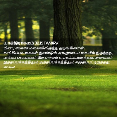 Picture 02 - யாத்திராகமம் 32:15 TAMIRV - பின்பு மோசே - Bible Verse Picture