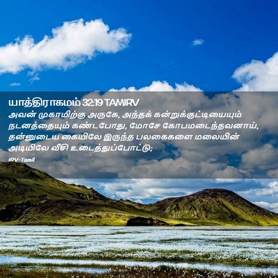 Picture 02 - யாத்திராகமம் 32:19 TAMIRV - அவன் முகாமிற்கு - Bible Verse Picture