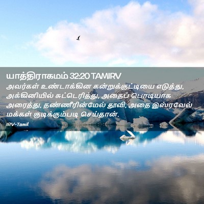 Picture 02 - யாத்திராகமம் 32:20 TAMIRV - அவர்கள் - Bible Verse Picture