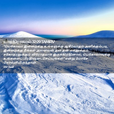 Picture 02 - யாத்திராகமம் 32:29 TAMIRV - “யெகோவா இன்றைக்கு - Bible Verse Picture