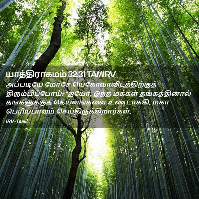 Picture 02 - யாத்திராகமம் 32:31 TAMIRV - அப்படியே மோசே - Bible Verse Picture