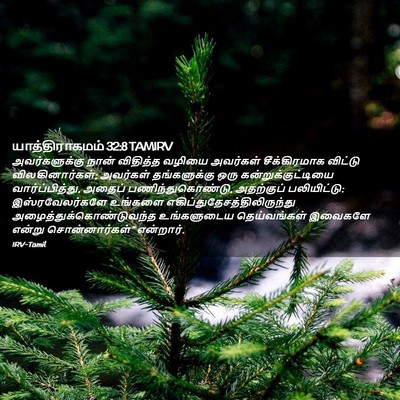 Picture 02 - யாத்திராகமம் 32:8 TAMIRV - அவர்களுக்கு நான் - Bible Verse Picture