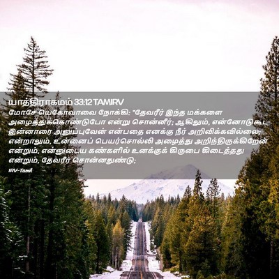 Picture 02 - யாத்திராகமம் 33:12 TAMIRV - மோசே யெகோவாவை - Bible Verse Picture