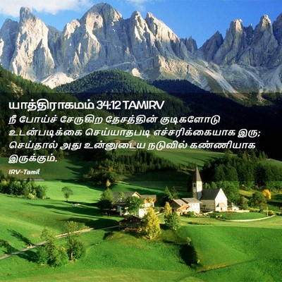 Picture 02 - யாத்திராகமம் 34:12 TAMIRV - நீ போய்ச் சேருகிற - Bible Verse Picture