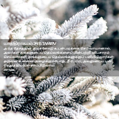 Picture 02 - யாத்திராகமம் 34:15 TAMIRV - அந்த தேசத்தின் - Bible Verse Picture