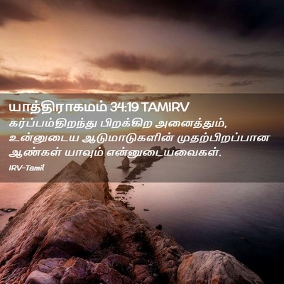 Picture 02 - யாத்திராகமம் 34:19 TAMIRV - கர்ப்பம்திறந்து - Bible Verse Picture