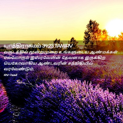 Picture 02 - யாத்திராகமம் 34:23 TAMIRV - வருடத்தில் - Bible Verse Picture
