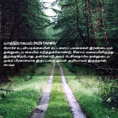 Picture 02 - யாத்திராகமம் 34:29 TAMIRV - மோசே - Bible Verse Picture