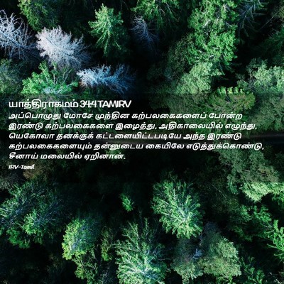 Picture 02 - யாத்திராகமம் 34:4 TAMIRV - அப்பொழுது மோசே - Bible Verse Picture