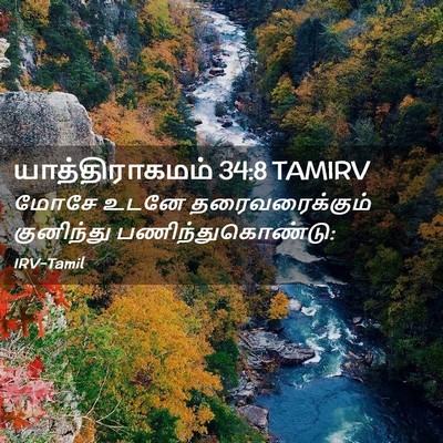 Picture 02 - யாத்திராகமம் 34:8 TAMIRV - மோசே உடனே - Bible Verse Picture