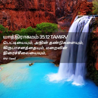 Picture 02 - யாத்திராகமம் 35:12 TAMIRV - பெட்டியையும், - Bible Verse Picture