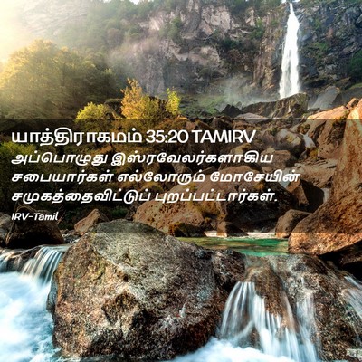 Picture 02 - யாத்திராகமம் 35:20 TAMIRV - அப்பொழுது - Bible Verse Picture