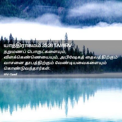 Picture 02 - யாத்திராகமம் 35:28 TAMIRV - நறுமணப் - Bible Verse Picture
