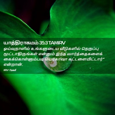 Picture 02 - யாத்திராகமம் 35:3 TAMIRV - ஓய்வுநாளில் - Bible Verse Picture