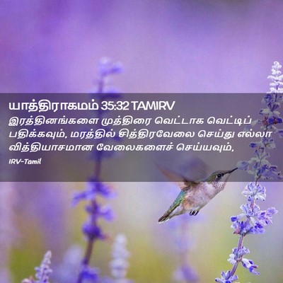 Picture 02 - யாத்திராகமம் 35:32 TAMIRV - இரத்தினங்களை - Bible Verse Picture