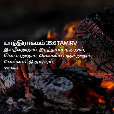 Picture 02 - யாத்திராகமம் 35:6 TAMIRV - இளநீலநூலும், - Bible Verse Picture