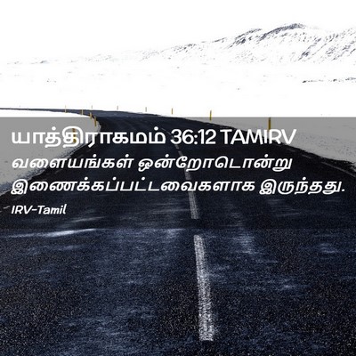 Picture 02 - யாத்திராகமம் 36:12 TAMIRV - வளையங்கள் - Bible Verse Picture