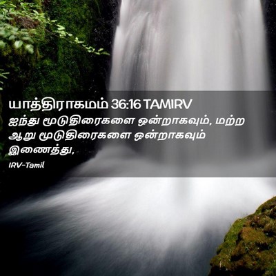 Picture 02 - யாத்திராகமம் 36:16 TAMIRV - ஐந்து மூடுதிரைகளை - Bible Verse Picture