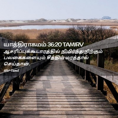 Picture 02 - யாத்திராகமம் 36:20 TAMIRV -  - Bible Verse Picture