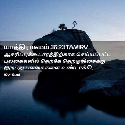 Picture 02 - யாத்திராகமம் 36:23 TAMIRV -  - Bible Verse Picture