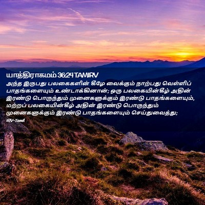 Picture 02 - யாத்திராகமம் 36:24 TAMIRV - அந்த இருபது - Bible Verse Picture