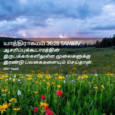 Picture 02 - யாத்திராகமம் 36:28 TAMIRV -  - Bible Verse Picture