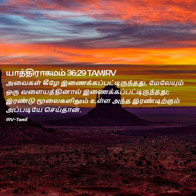 Picture 02 - யாத்திராகமம் 36:29 TAMIRV - அவைகள் கீழே - Bible Verse Picture