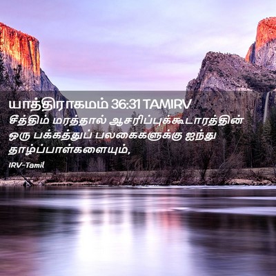 Picture 02 - யாத்திராகமம் 36:31 TAMIRV - சீத்திம் மரத்தால் - Bible Verse Picture