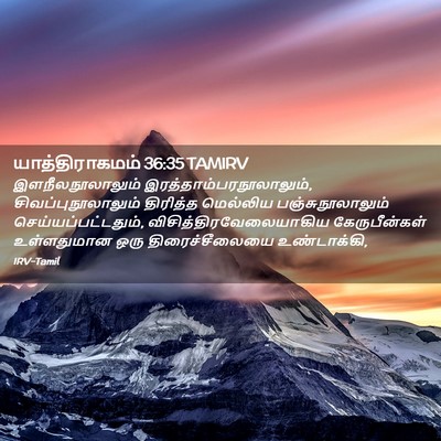 Picture 02 - யாத்திராகமம் 36:35 TAMIRV - இளநீலநூலாலும் - Bible Verse Picture
