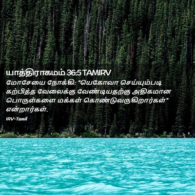 Picture 02 - யாத்திராகமம் 36:5 TAMIRV - மோசேயை நோக்கி: - Bible Verse Picture