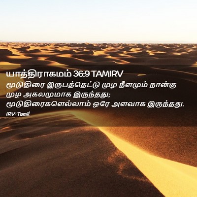 Picture 02 - யாத்திராகமம் 36:9 TAMIRV - மூடுதிரை - Bible Verse Picture