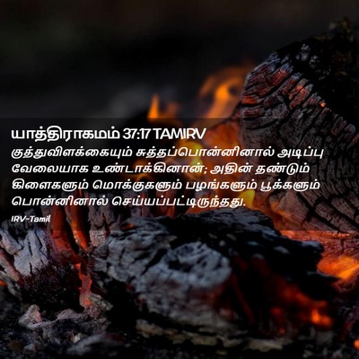 Picture 02 - யாத்திராகமம் 37:17 TAMIRV -  - Bible Verse Picture