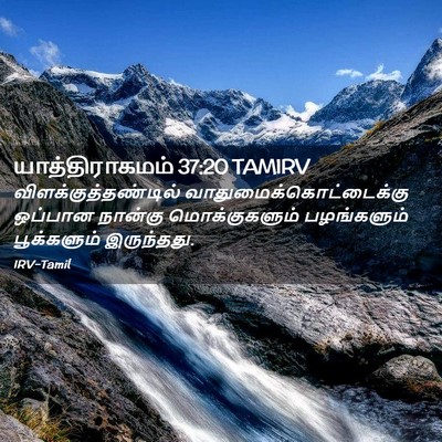 Picture 02 - யாத்திராகமம் 37:20 TAMIRV - விளக்குத்தண்டில் - Bible Verse Picture
