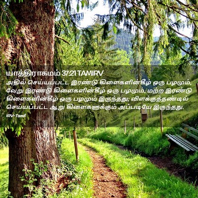 Picture 02 - யாத்திராகமம் 37:21 TAMIRV - அதில் செய்யப்பட்ட - Bible Verse Picture