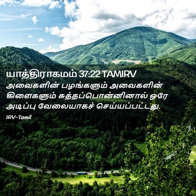Picture 02 - யாத்திராகமம் 37:22 TAMIRV - அவைகளின் - Bible Verse Picture